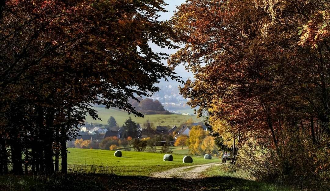 Apartment Alpaka Blick Schneppenbach